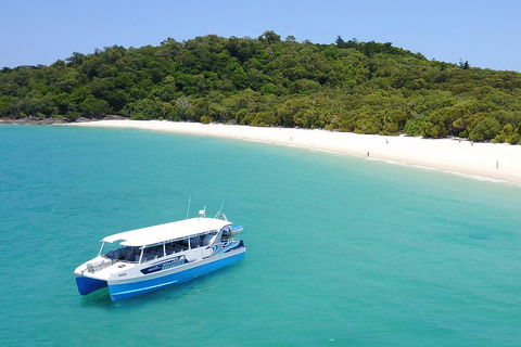 Whitsunday Bullet Day Trip - Whitehaven Beach And Snorkelling - Accommodation Directory 0