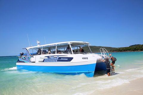 Whitsunday Bullet Day Trip - Whitehaven Beach And Snorkelling - Accommodation Directory 3