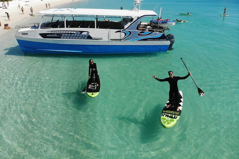 Whitsunday Bullet Day Trip - Whitehaven Beach And Snorkelling - Accommodation Directory 4