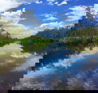 Noosa Everglades Serenity Cruise  Highlights Tour Inc. Lunch  Cruise - Accommodation Directory
