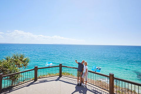 Noosa Everglades Serenity Cruise & Highlights Tour Inc. Lunch & Cruise - Accommodation Directory 3