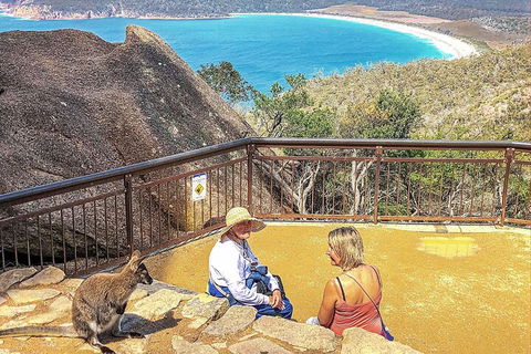 Wineglass Bay & Freycinet NP Full Day Tour From Hobart Via Richmond Village - Accommodation Directory 1