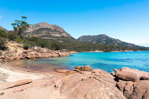 Wineglass Bay & Freycinet NP Full Day Tour From Hobart Via Richmond Village - Accommodation Directory 5