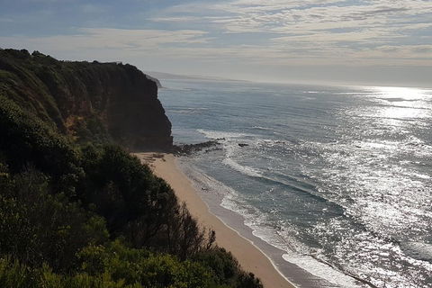 Full-Day Great Ocean Road Tour From Melbourne - Accommodation Directory 0
