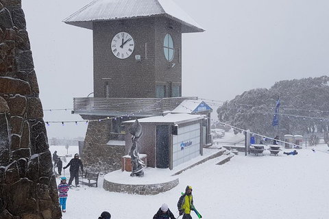 Mt Buller Day Trip From Melbourne - Accommodation Directory 0