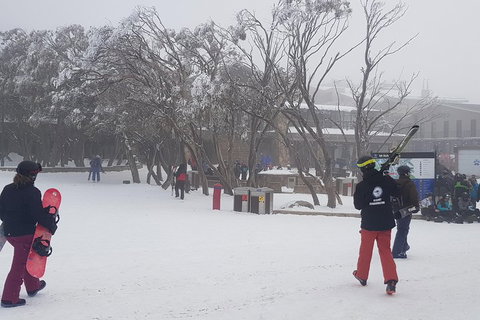 Mt Buller Day Trip From Melbourne - Accommodation Directory 1