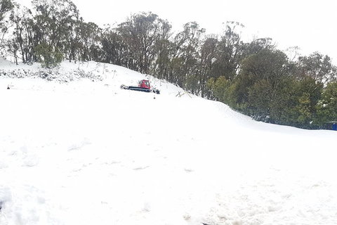 Mt Buller Day Trip From Melbourne - Accommodation Directory 2