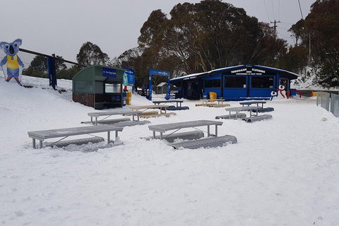 Mt Buller Day Trip From Melbourne - Accommodation Directory 5