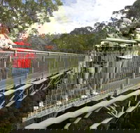 Adventure Sunset Three Day Great Ocean Road Tour - Accommodation Directory