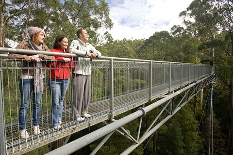 Adventure Sunset Three Day Great Ocean Road Tour - Accommodation Directory 0