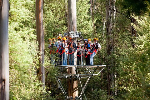 Adventure Sunset Three Day Great Ocean Road Tour - Accommodation Directory 1
