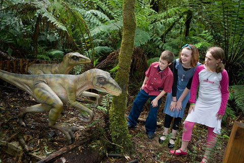 Adventure Sunset Three Day Great Ocean Road Tour - Accommodation Directory 2