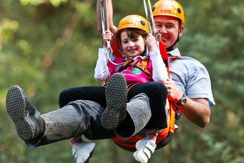 Adventure Sunset Three Day Great Ocean Road Tour - Accommodation Directory 4