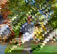 Aboriginal Heritage Walk - Royal Botanic Gardens Victoria Melbourne Gardens - Accommodation Directory