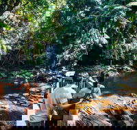 Aquaduck  Your choice of Gold Coast Rainforest Tour - Accommodation Directory