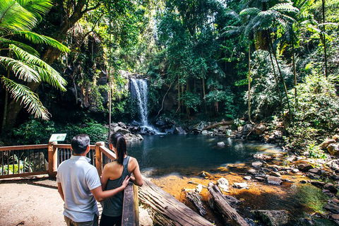 Aquaduck & Your Choice Of Gold Coast Rainforest Tour - Accommodation Directory 0
