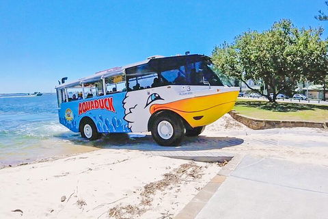 Aquaduck & Your Choice Of Gold Coast Rainforest Tour - Accommodation Directory 1