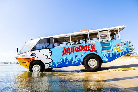 Aquaduck & Your Choice Of Gold Coast Rainforest Tour - Accommodation Directory 3