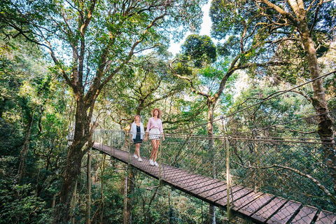 Aquaduck & Your Choice Of Gold Coast Rainforest Tour - Accommodation Directory 4