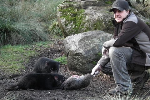 After Dark Tasmanian Devil Feeding Tour At Cradle Mountain - Accommodation Directory 2