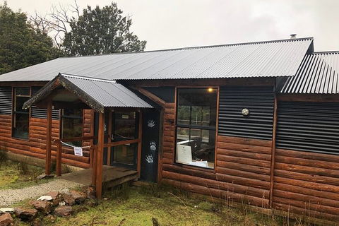 After Dark Tasmanian Devil Feeding Tour At Cradle Mountain - Accommodation Directory 3