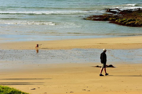 Ultimate Reverse Direction - 12 Apostles, Great Ocean Road - Small Group Tour - Accommodation Directory 1