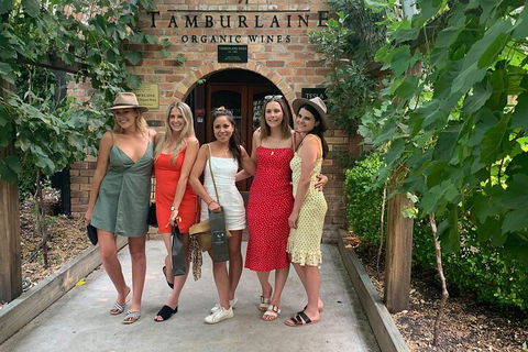 A Full Day Hunter Valley Wine Tasting Tour With Lunch And Tasting Fee's Included - Accommodation Directory 4
