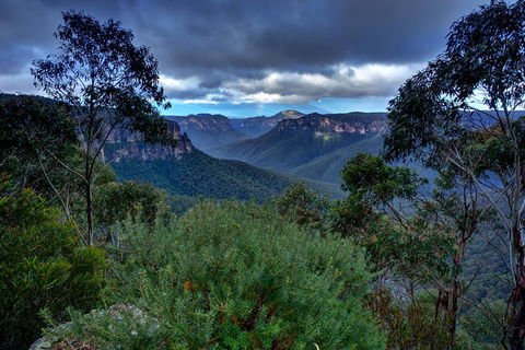Ultimate Blue Mountains And Wildlife Tour - Accommodation Directory 1