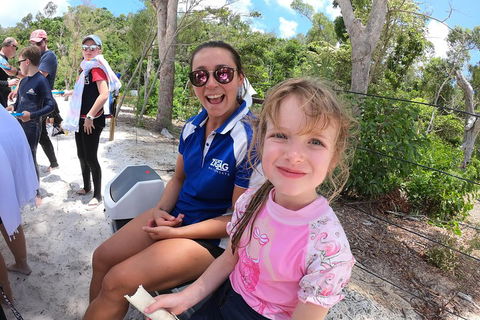 Whitehaven Beach Day Tour With Snorkel In Whitsundays Island - Accommodation Directory 1
