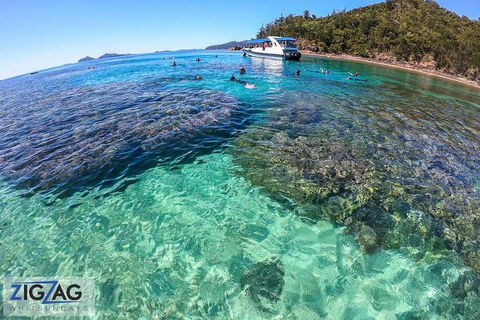 Whitehaven Beach Day Tour With Snorkel In Whitsundays Island - Accommodation Directory 5
