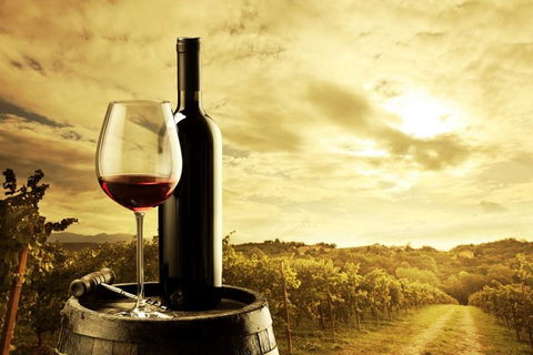Barossa Valley Cellar Doors Luxury Wine Tour - Accommodation Directory 0