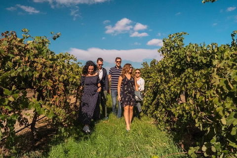 Barossa Valley Private Tour (from 2 To 11 People) - Accommodation Directory 0
