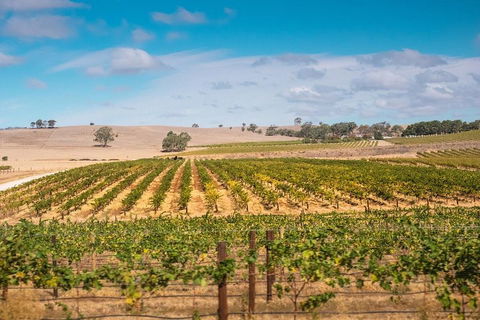 Barossa Valley Private Tour (from 2 To 11 People) - Accommodation Directory 2