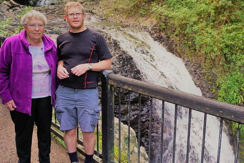 Natural Arch, Rainforest & Volcano Canyon - Private Half Day Tour - Accommodation Directory 1