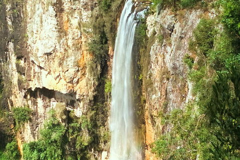 Natural Arch, Rainforest & Volcano Canyon - Private Half Day Tour - Accommodation Directory 2