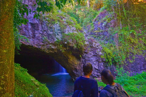 Natural Arch, Rainforest & Volcano Canyon - Private Half Day Tour - Accommodation Directory 4