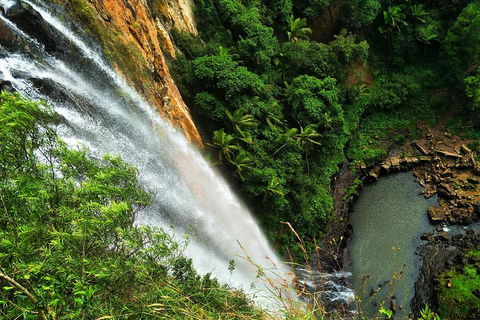 Natural Arch, Rainforest & Volcano Canyon - Private Half Day Tour - Accommodation Directory 5