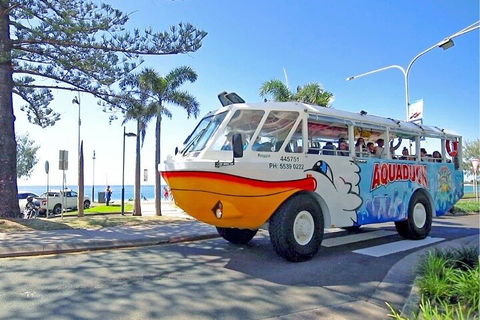 Aquaduck Sunshine Coast - Accommodation Directory 1
