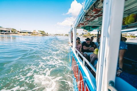 Aquaduck Sunshine Coast - Accommodation Directory 5
