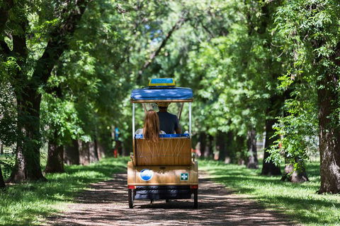 Adelaide 90-Minute Pedicab Tour: Scenic Green & River Experience - Accommodation Directory 2