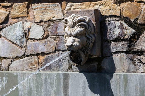 Adelaide 90-Minute Pedicab Tour: Scenic Green & River Experience - Accommodation Directory 3