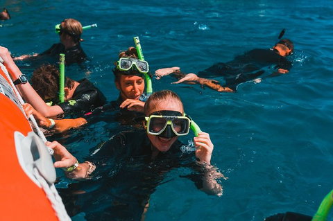 Whitehaven Beach And Hill Inlet Lookout Full-Day Snorkeling Cruise By High-Speed Catamaran - Accommodation Directory 3