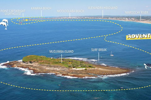 1.5HR Mudjimba Island Wildlife Safari - Accommodation Directory 1