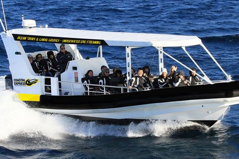 1.5HR Mudjimba Island Wildlife Safari - Accommodation Directory 2