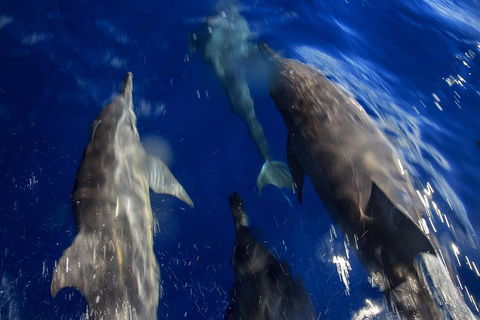 1.5HR Mudjimba Island Wildlife Safari - Accommodation Directory 3