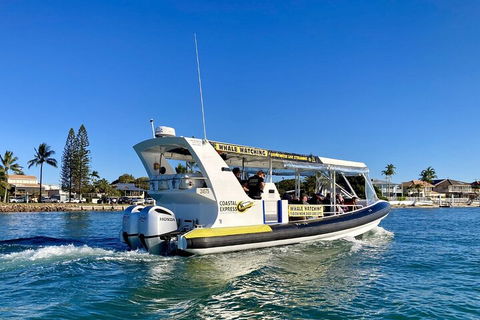 1.5HR Mudjimba Island Wildlife Safari - Accommodation Directory 4