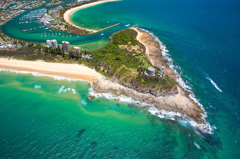 1.5HR Mudjimba Island Wildlife Safari - Accommodation Directory 5