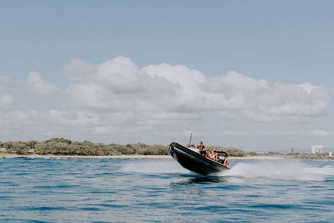 Adventure Rafting - Accommodation Directory 3