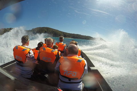 Noosa Thriller - 500hp Ocean Adventure Ride - Accommodation Directory 3