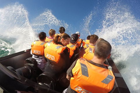 Noosa Thriller - 500hp Ocean Adventure Ride - Accommodation Directory 4